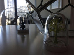 Book South Melbourne Accommodation Vacations Accommodation Nelson Bay Accommodation Nelson Bay