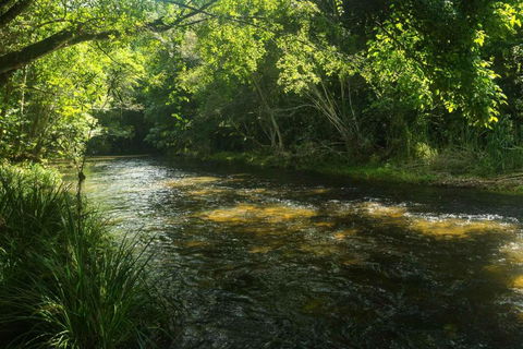 Cairns Homestead Acreage Pet & Family Friendly - Accommodation Nelson Bay 2