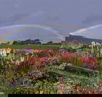 Boat Harbour Garden Cottages