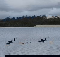 Lake Yalleena Nature Retreat - Accommodation Nelson Bay