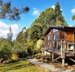 Southern Forest Accommodation - Accommodation Nelson Bay