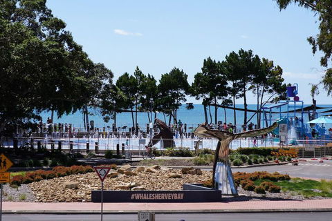 Beachside Motor Inn - Accommodation Nelson Bay 3