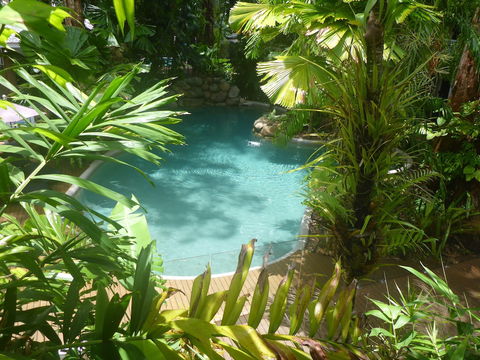 Palm Cove Tropic Apartments - Accommodation Nelson Bay 0