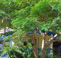 Amber Gardens Guesthouse - Accommodation Nelson Bay