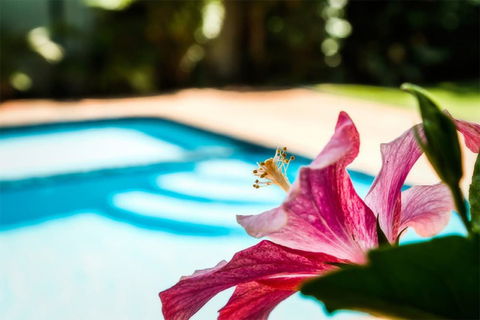 Coffs Harbour Holiday Apartments - Accommodation Nelson Bay 1
