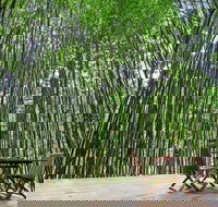Azabu Boutique Accommodation Byron Bay - Accommodation Nelson Bay