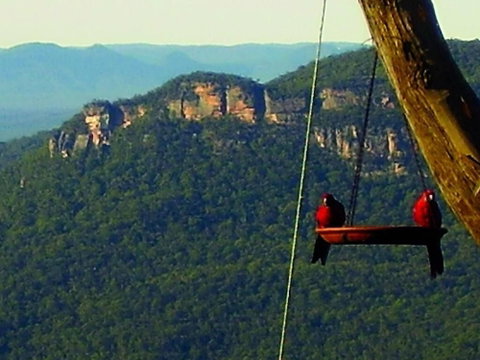 Valley Of The Waters B&B - Accommodation Nelson Bay 3