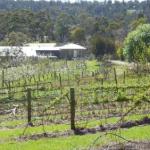 Eureka Farm - Accommodation Nelson Bay 0