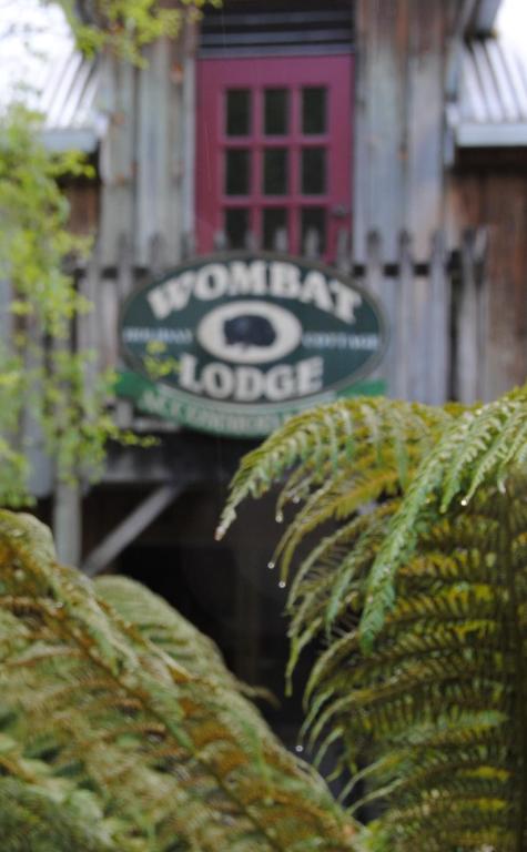 The Wombat Cottage - Accommodation Nelson Bay 1