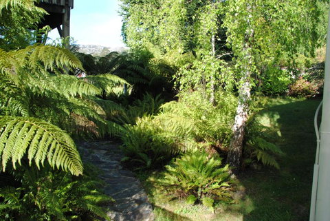 The Wombat Cottage - Accommodation Nelson Bay 4