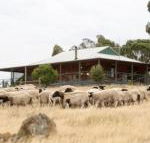 Gilgraves Vineyard Farmstay - Accommodation Nelson Bay
