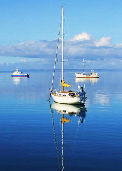 The Hakeas - Accommodation Nelson Bay 1