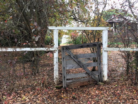 Historic Oak Hill House Estate Truffle Gourmet Festival Region - Accommodation Nelson Bay 2