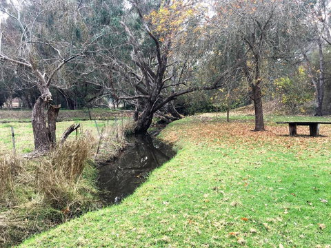 Historic Oak Hill House Estate Truffle Gourmet Festival Region - Accommodation Nelson Bay 1