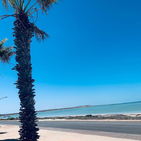 Bay Lodge - Accommodation Nelson Bay 2