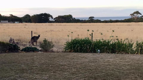 Beeâ€™s Place 3 Bedroom Home On 10 Acres Of Land With Distant Ocean Views - Accommodation Nelson Bay 5