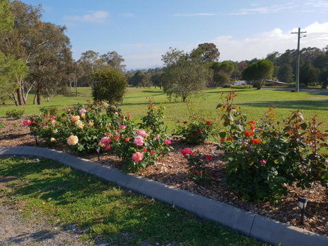Kandos Fairways Motel - Accommodation Nelson Bay 4