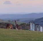 Rooks Edge - Accommodation Nelson Bay