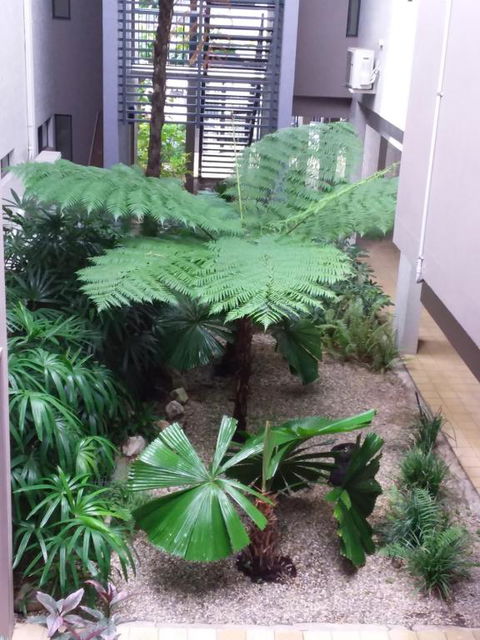 Jackies Studio Apartment - Accommodation Nelson Bay 5