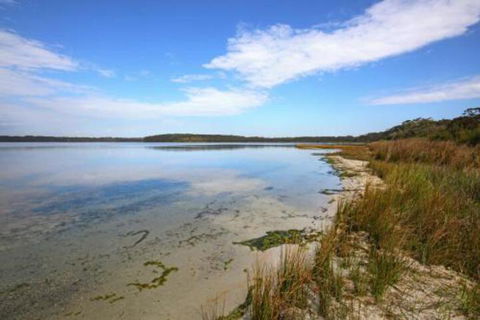 Zen At Culburra Pet Friendly 8 Mins To Beach - Accommodation Nelson Bay 4