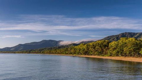 RED COWRIE 321atPALM COVE - Accommodation Nelson Bay 3