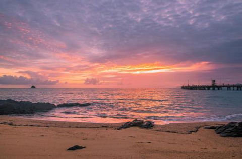 RED COWRIE 321atPALM COVE - Accommodation Nelson Bay 5