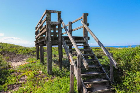 The Surf Shack - Accommodation Nelson Bay 4
