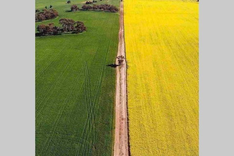Salty Cottage Northam - Accommodation Nelson Bay 3