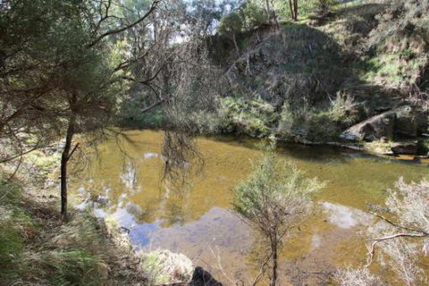 Alpine Streamside - Accommodation Nelson Bay 3