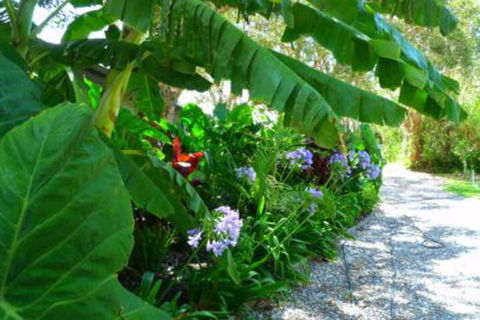 Mullaway Beach Holiday Cabins - Accommodation Nelson Bay 4