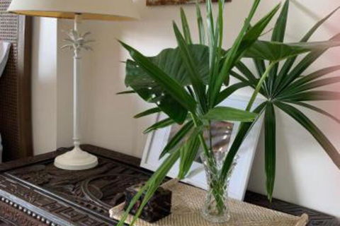 Mullaway Beach Holiday Cabins - Accommodation Nelson Bay 3