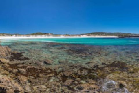 Hanson Bay Wildlife Sanctuary And Cabins - Accommodation Nelson Bay 0