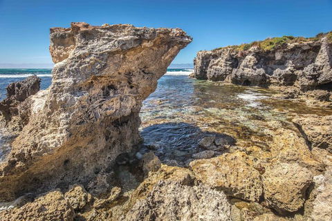 Hanson Bay Wildlife Sanctuary And Cabins - Accommodation Nelson Bay 2