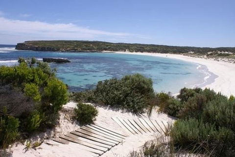Hanson Bay Wildlife Sanctuary And Cabins - Accommodation Nelson Bay 1