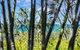 Nobs -1/44 Peregian Esplanade - thumb 1