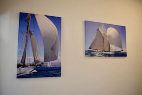 Comfortable 3 Bedroom Apartment In Trendy Haberfield - Accommodation Nelson Bay 0