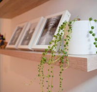 Trendy Modern 2BD Apartment Close to Beach  City - Accommodation Nelson Bay