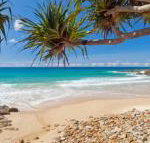Coolum Classic Beach Shack Pet Friendly - Accommodation Nelson Bay
