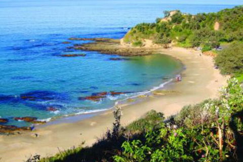 Pacific Studio Nambucca Heads - Accommodation Nelson Bay 5