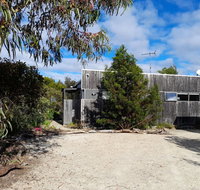 Oystercatcher - Accommodation Nelson Bay