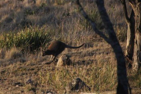 The Great House Bnb - Accommodation Nelson Bay 3