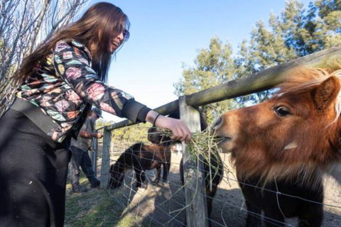 Jervis Bay Luxury Farm Escape - Accommodation Nelson Bay 5