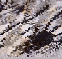 Discover Classic Rocks - Accommodation Nelson Bay