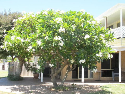 Kalbarri Riverfront Unit - Accommodation Nelson Bay 3