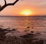 Paradise Beach Apartments - Nelson Bay Accommodation.com