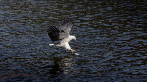 Arthur Riverfront & Sea Lodge Upstream - Accommodation Nelson Bay 1