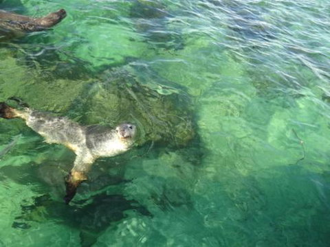 Acaciabnb - Accommodation Nelson Bay 5