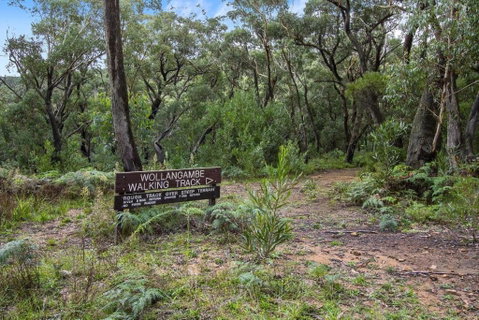 THE TEACHERS COTTAGE - Accommodation Nelson Bay 5