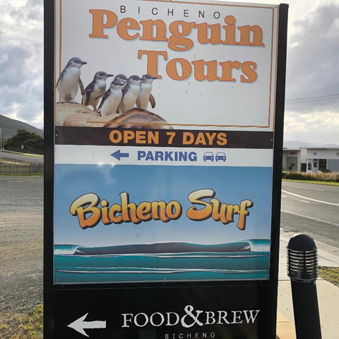 Bicheno Getaway - Accommodation Nelson Bay 4