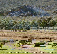 Halls Gap Motel - Accommodation Nelson Bay